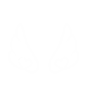 xmas_wings