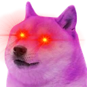 whatthefrick
