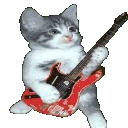 rockerCat