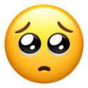 pleading