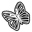 butterfly