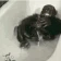 BathTime