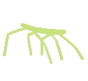 stickbug
