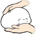 pat