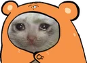 sadcatblanket