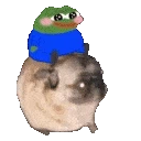 PEPE_flushDog