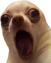 oooo
