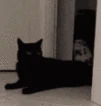 shadowrealmcat