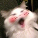 uuuuuu