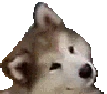 a_que