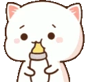 mochicatbaby
