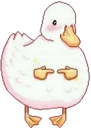 nkducketto