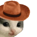 Meowdy