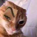 Ceja