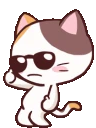 okCoolCat