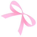 zz_pinkbow