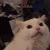 scremcat_ACL