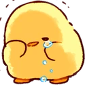 sob