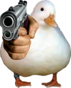piupiu
