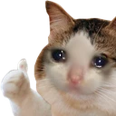 wegud
