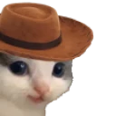 meowdy