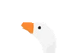 _HONKHONK