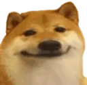 widebork