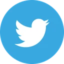 s_twitter
