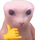hs_todopiola