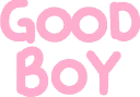 signgoodboy