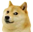 doge
