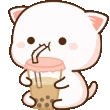 nyaBoba
