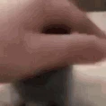 catPat