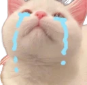 cat_cry