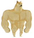 strongdoge
