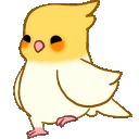 CB_birddance