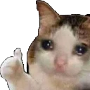 sad_cat