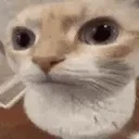 Wah