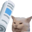newspapercat