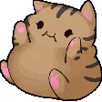 fatcat