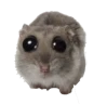 Hamsterpwease