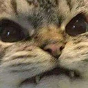 8_angery