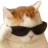 echat_CatHehe