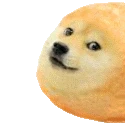 SL_doge_twinkie1