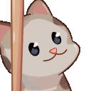kbonkcat