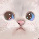 catstare