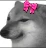 pookie_sukoon