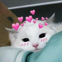cat_hearts