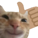 swagthumbsup