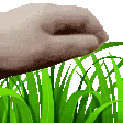05_pepe_Catcafe_Touch_grass